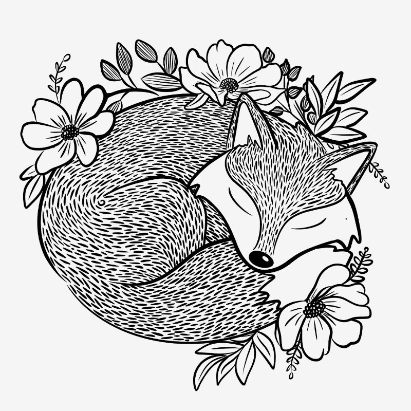 Fuchs 1