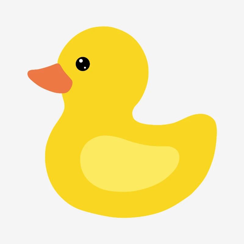 canard en plastique