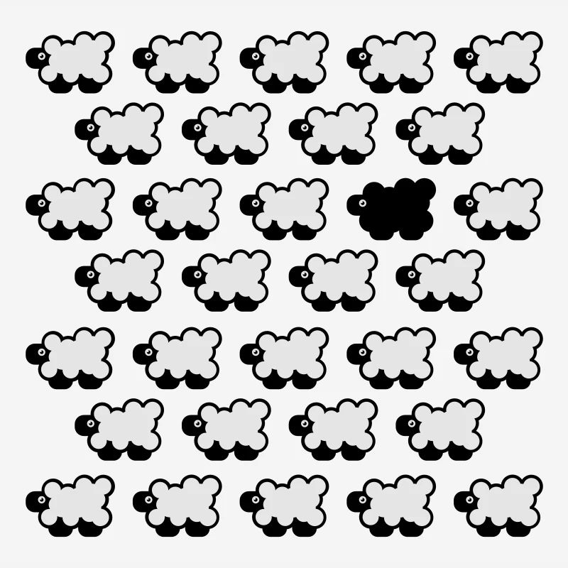 Black Sheep 2C