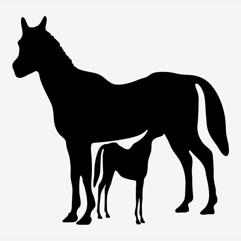 pferd