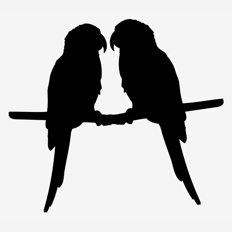 Perroquets quelques oiseaux