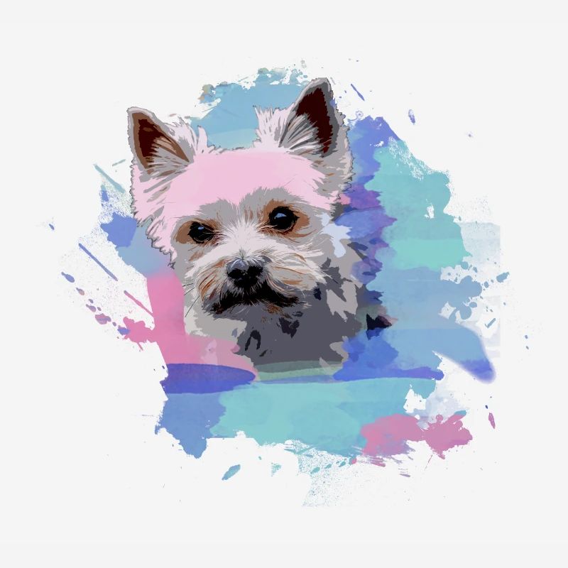 yorkshire terrier, hund, graffiti,terrier, bunt