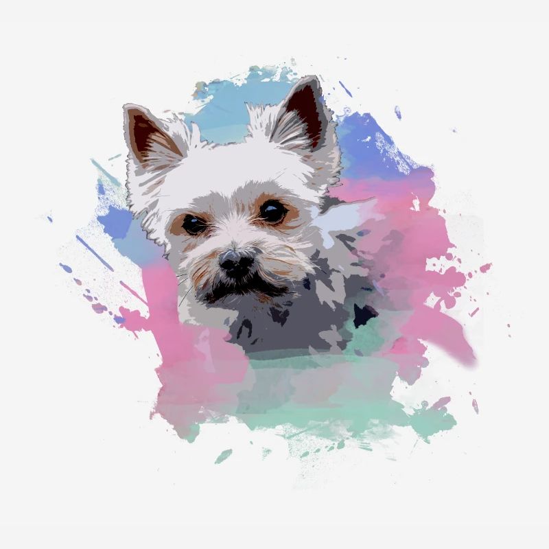 yorkshire terrier, hund, graffiti,terrier, bunt