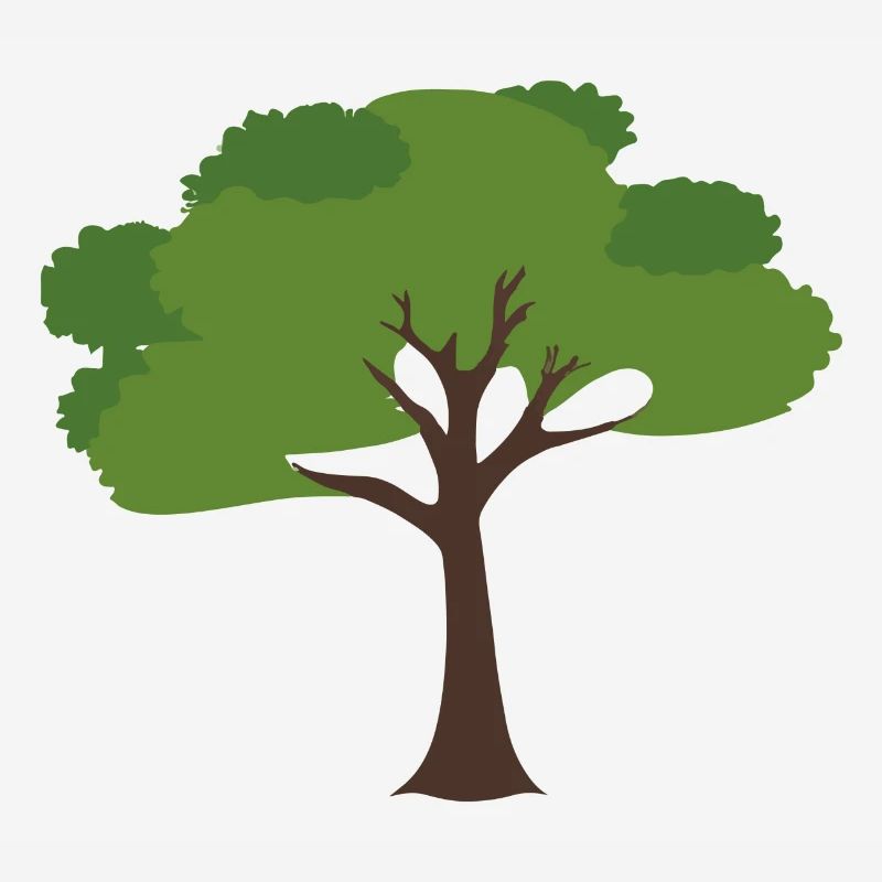 Tree Plant Illustration Drawing Gift Idea