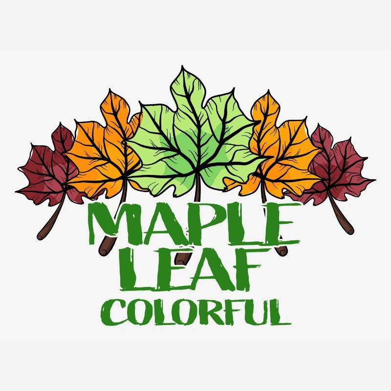 Maple Leaf coloré
