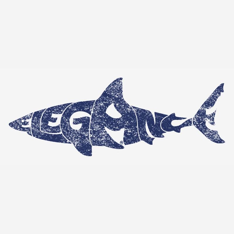 Requin élégant