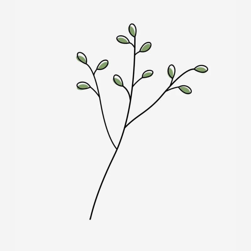 Branche.