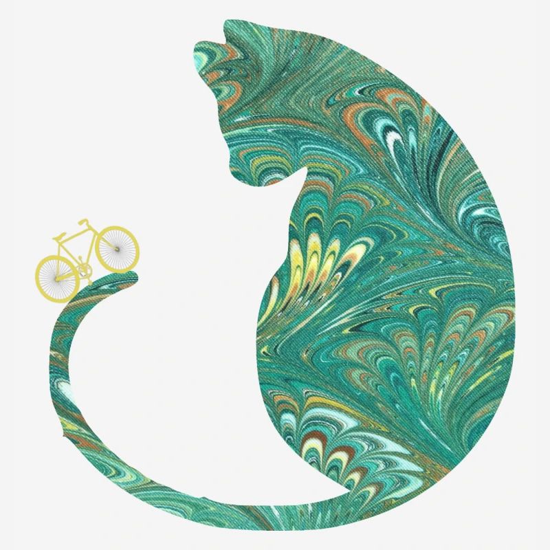 chat et vélo e 71