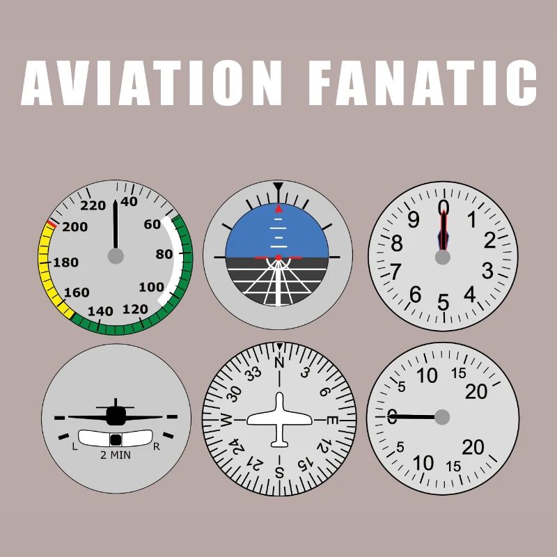 Aviation fanatic