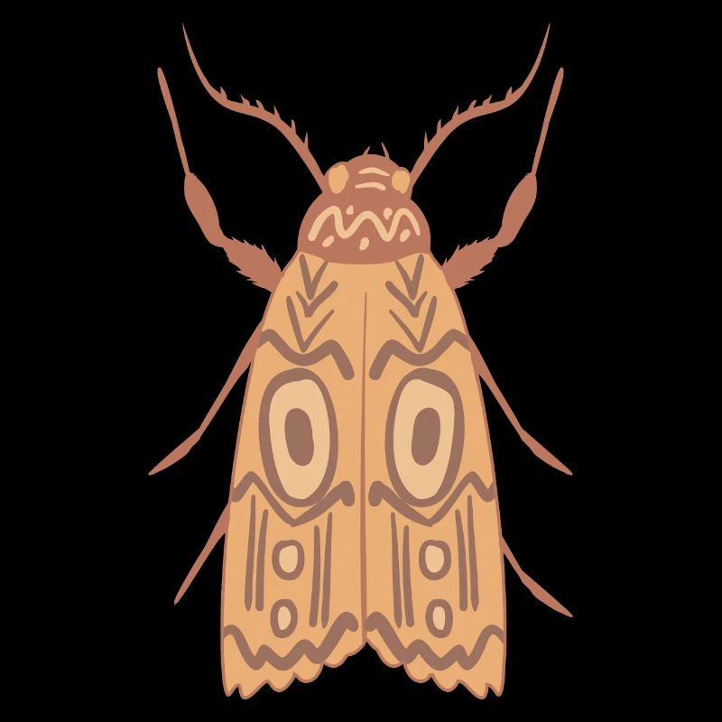 Aborigène