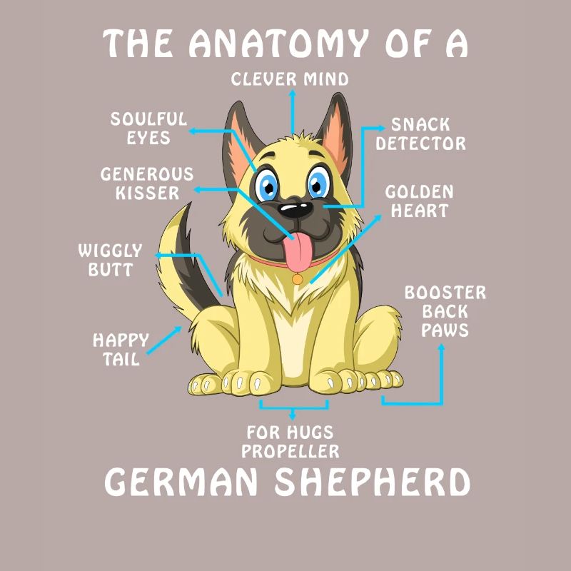 Anatomie eines Deutschen Schäferhundes