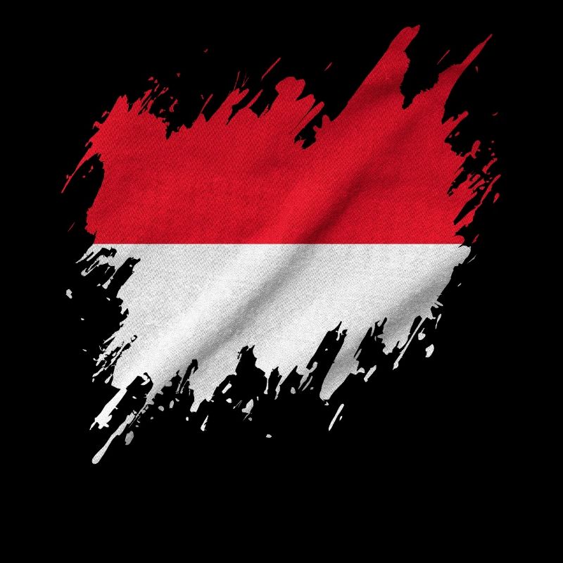Drapeau indonésien, style déchiré