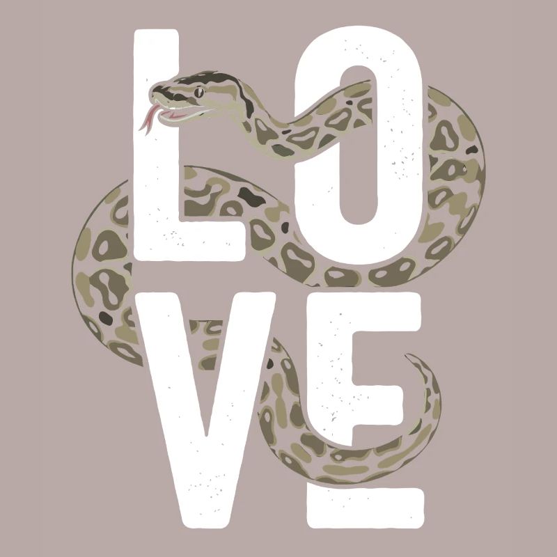 Les serpents rois Python ADORENT les pythons de terrarium