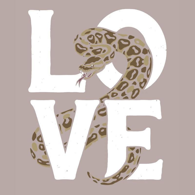 Les serpents rois Python ADORENT les pythons de terrarium