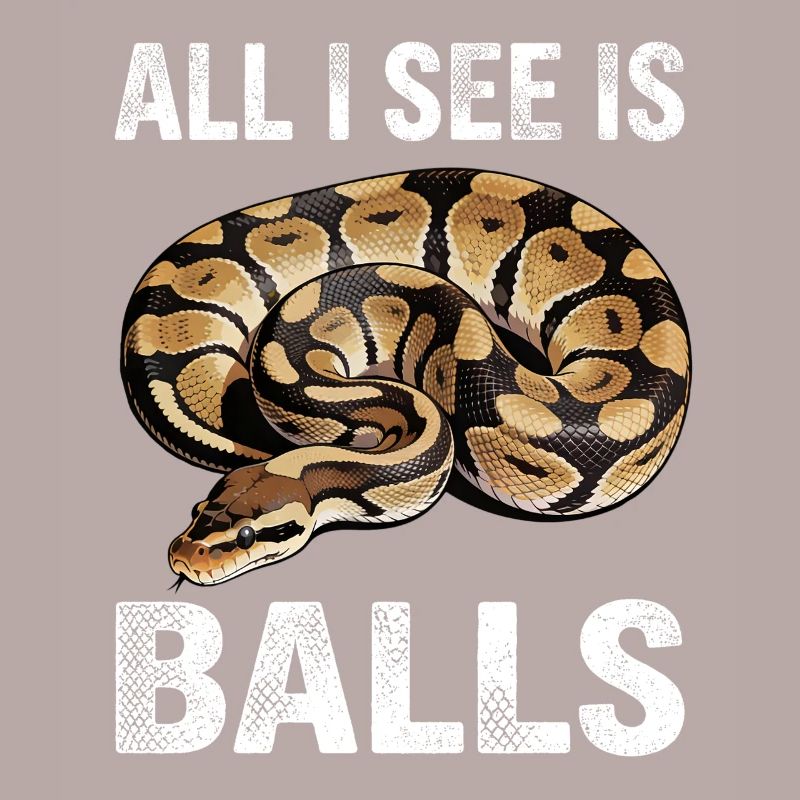 Python roi Serpents Amateurs de terrarium Python