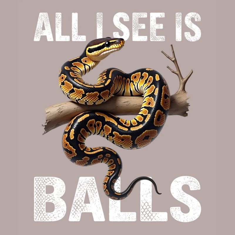 Python roi Serpents Amateurs de terrarium Python