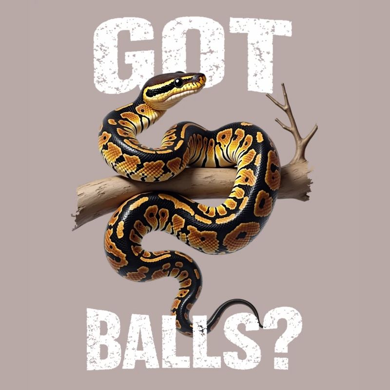 Python roi Serpents Amateurs de terrarium Python