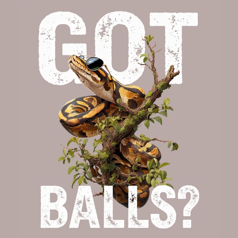 Python roi Serpents Amateurs de terrarium Python