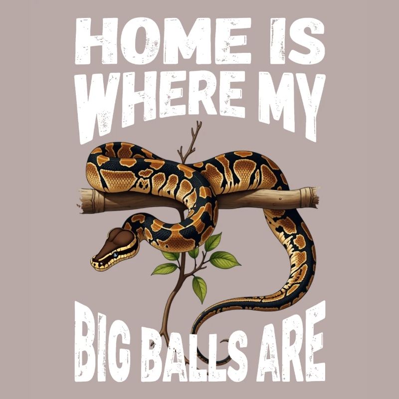 Königspython Schlangen Liebhaber Terrarium Python