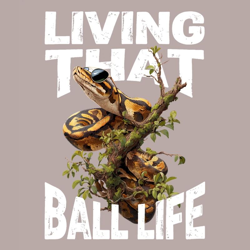 Python roi Serpents Amateurs de terrarium Python