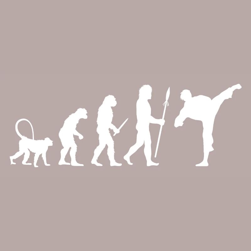 Évolution du karaté
