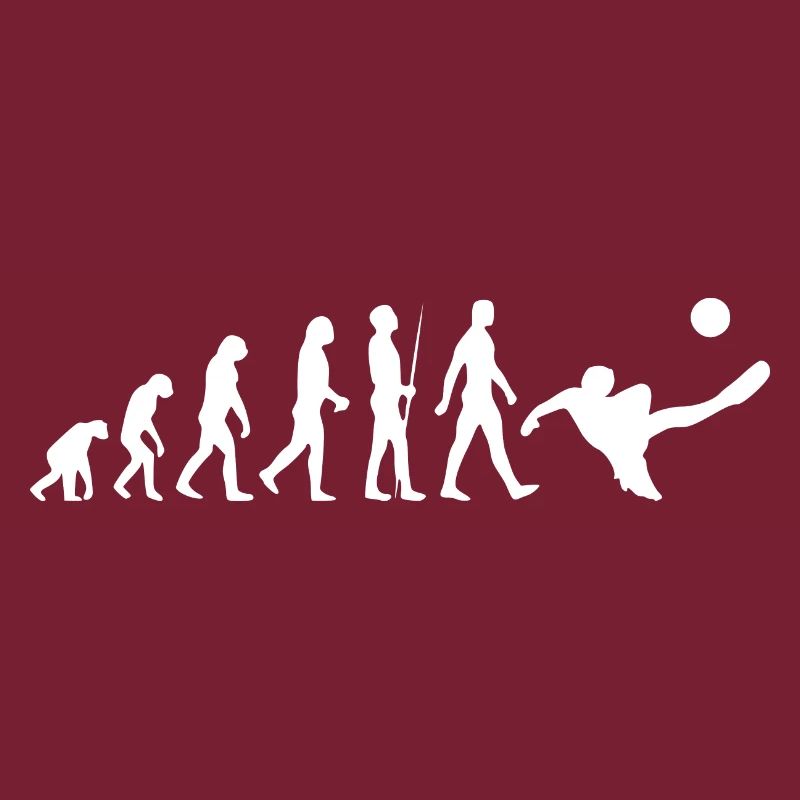 Fußball - Evolution