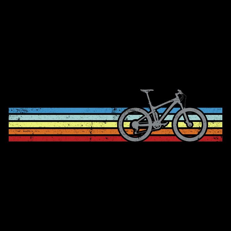 Rainbow Stripes Bicycle