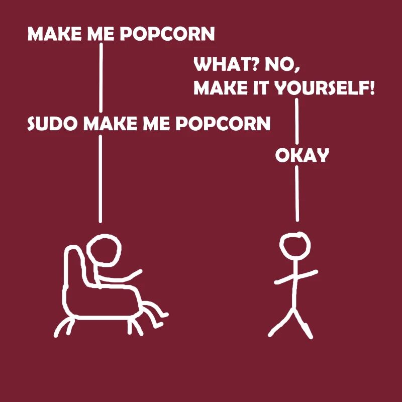 programmer sudo informatik