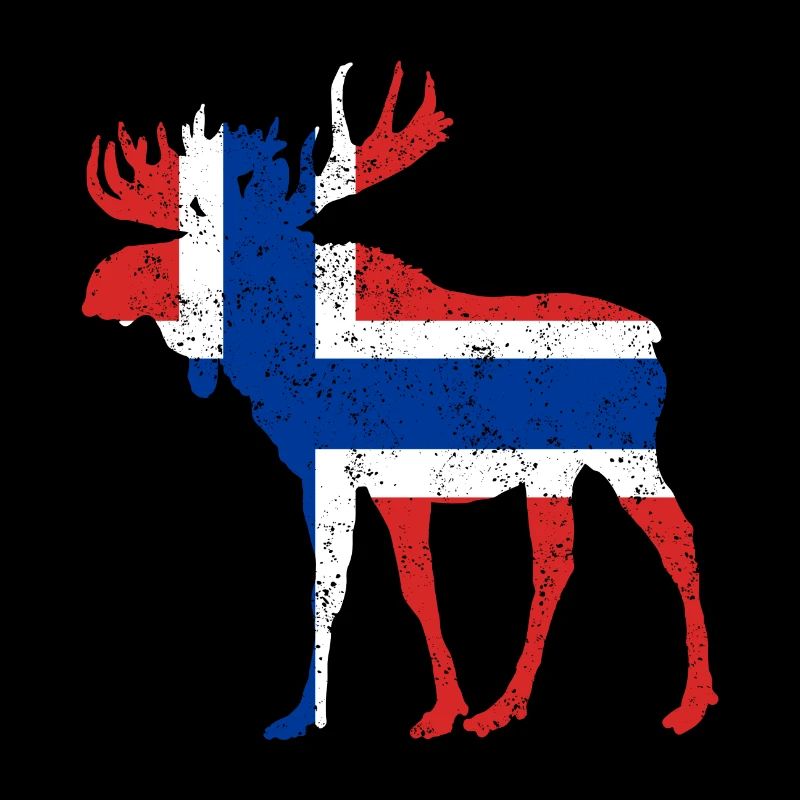 Norway Moose Scandinavia