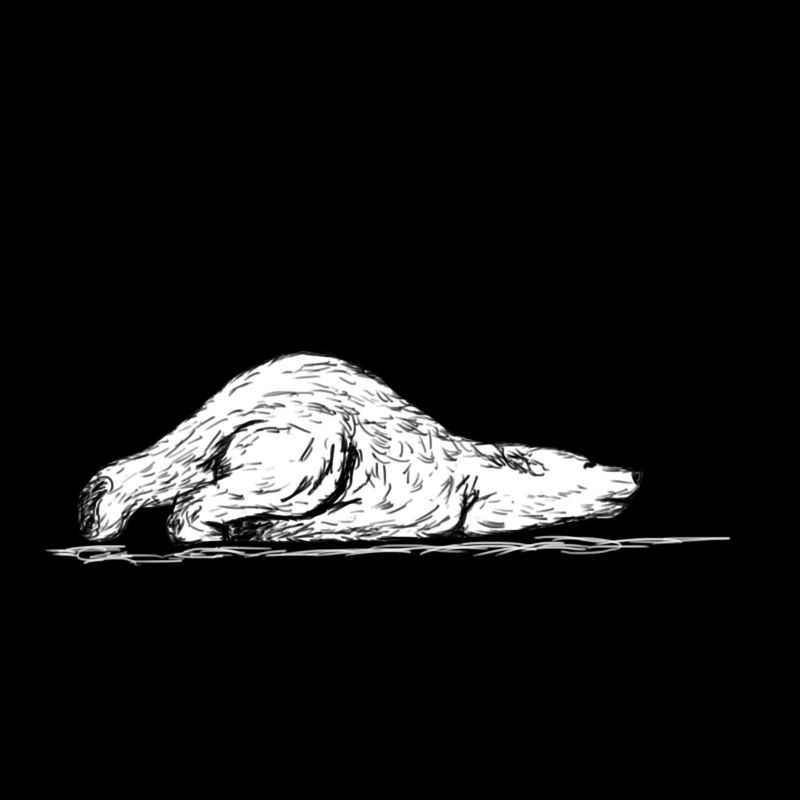Eisbär