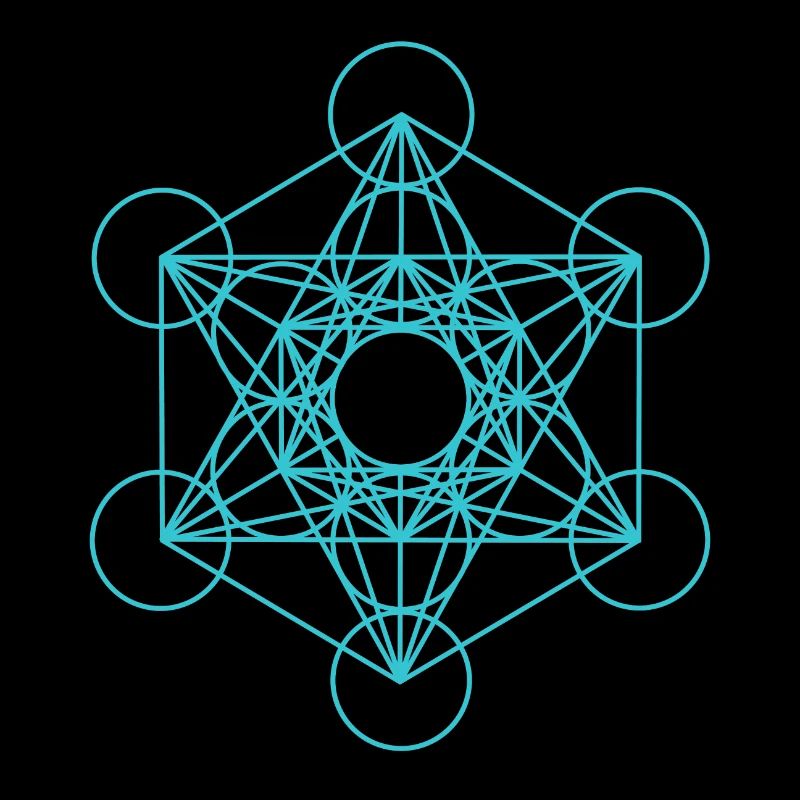 Metatrons Cube 18