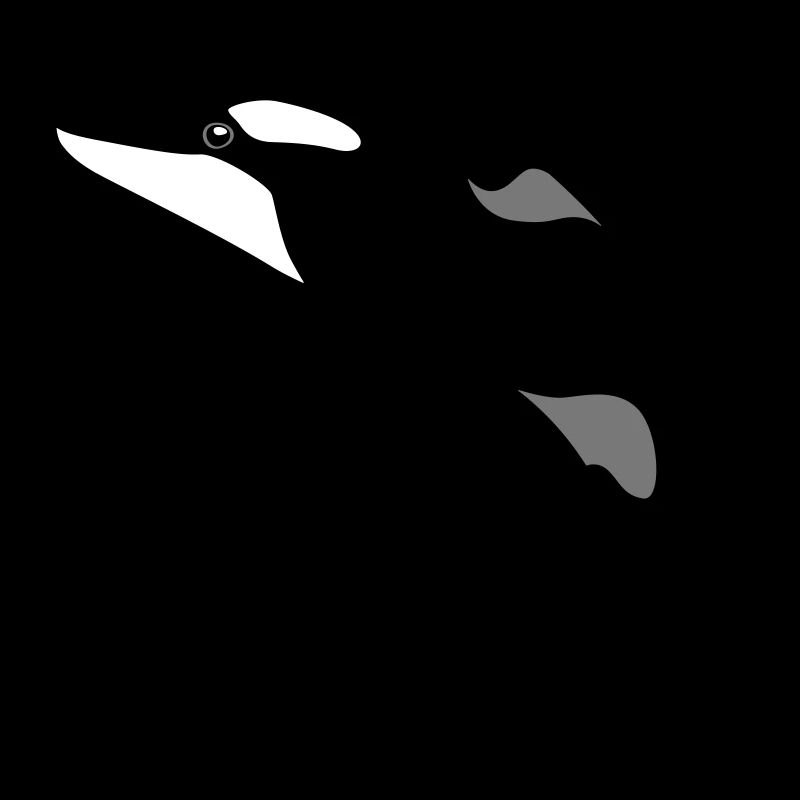 jumping Orca