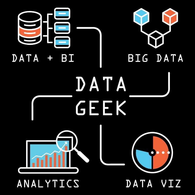 Data Geek Software Developer