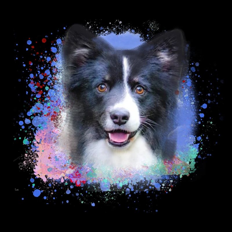 hund,spitz, malerei, graffiti, zwergspitz
