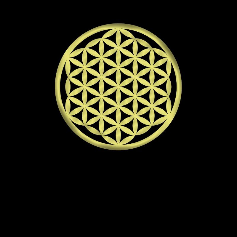 Fleur de vie / Fleur de vie / Fleur de vie