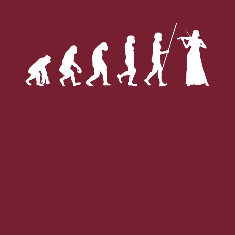 Evolution violin violin violinist violinist violin pi