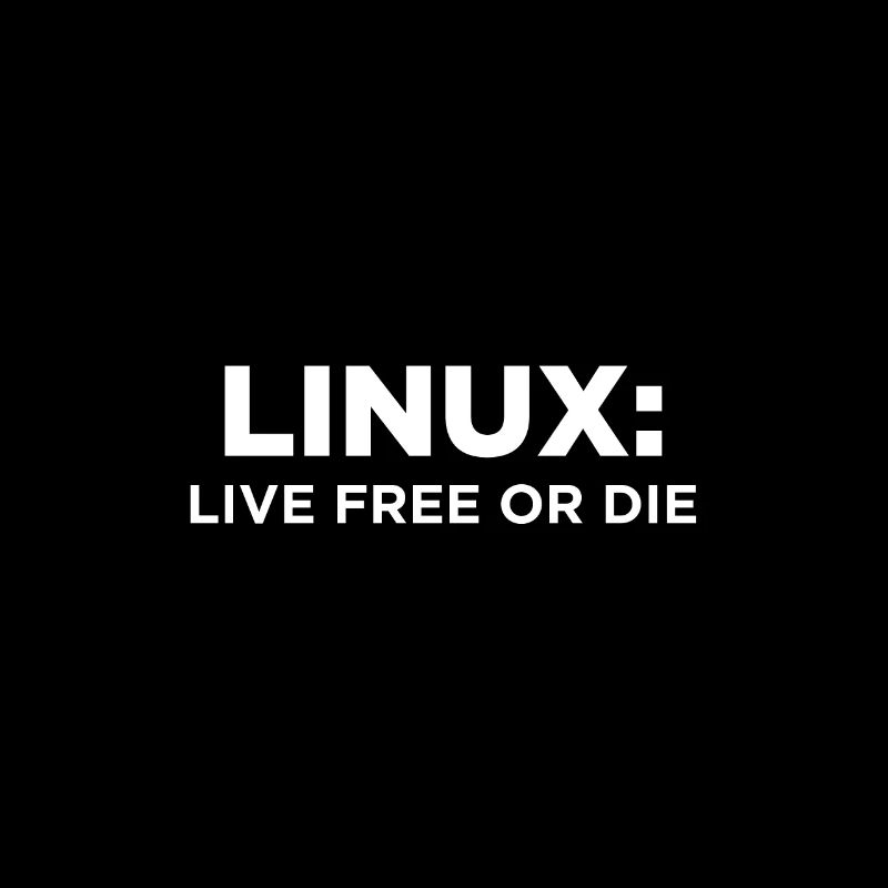 Geek Linux dit un informaticien nerd