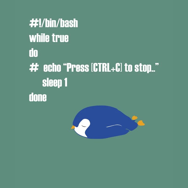 Cadeau drôle d'informaticien programmeur Linux