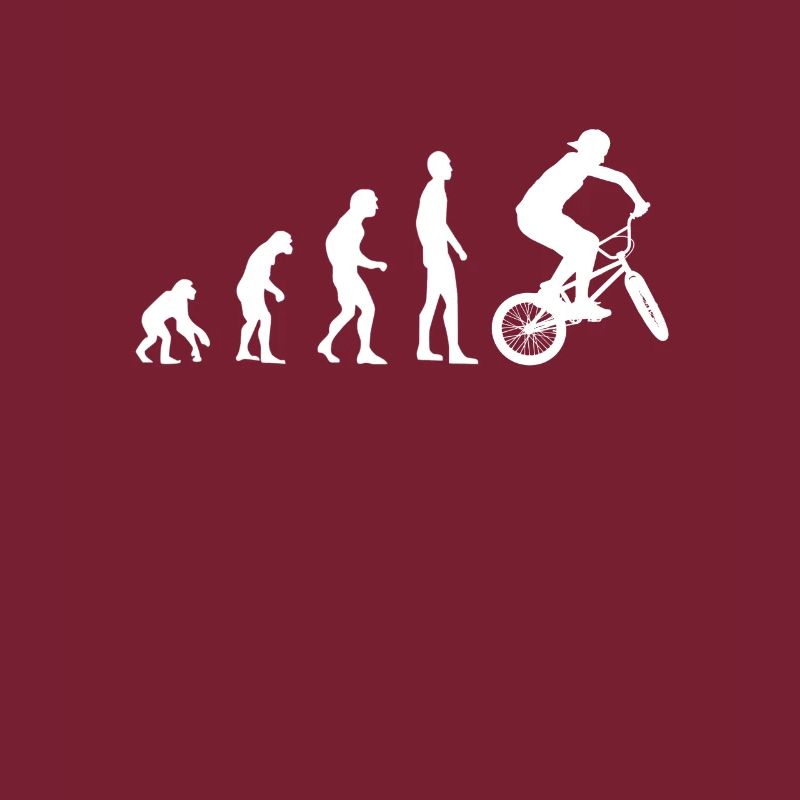 BMX Evolution