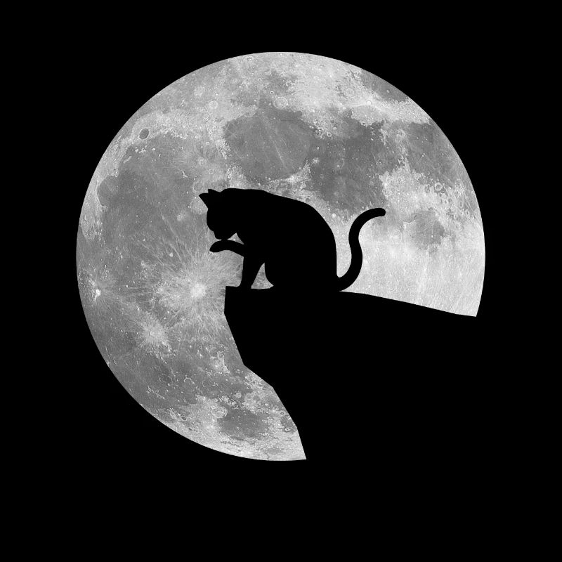 Lune Chat