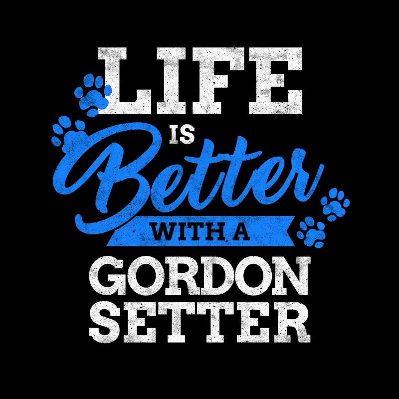 Leben mit Gordon Setter britischer Vorstehhund