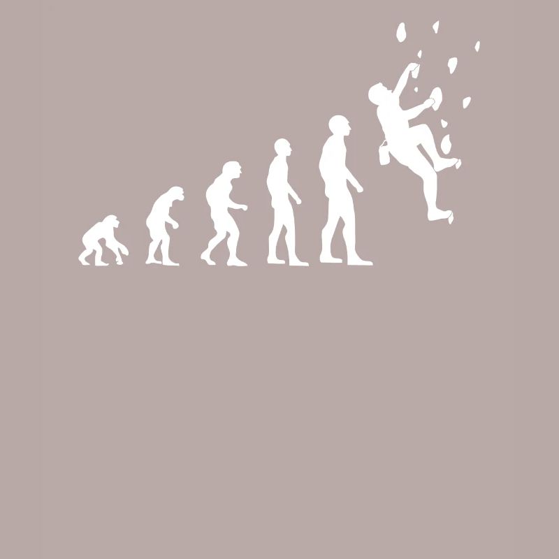 Climber Evolution Salle d’escalade