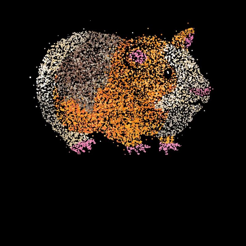 Cochon d’Inde Cochon