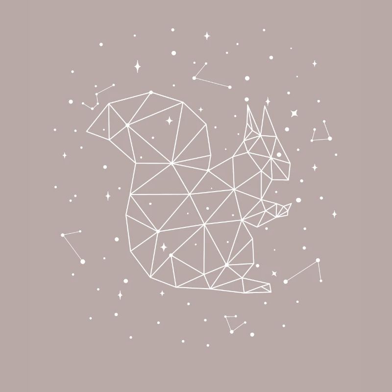Sternbild Squirrel Constellation Squirrel