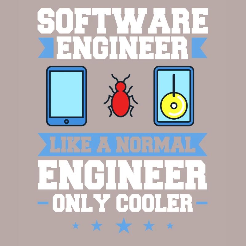 Software Engineering Softwaretechnik Ingenieur