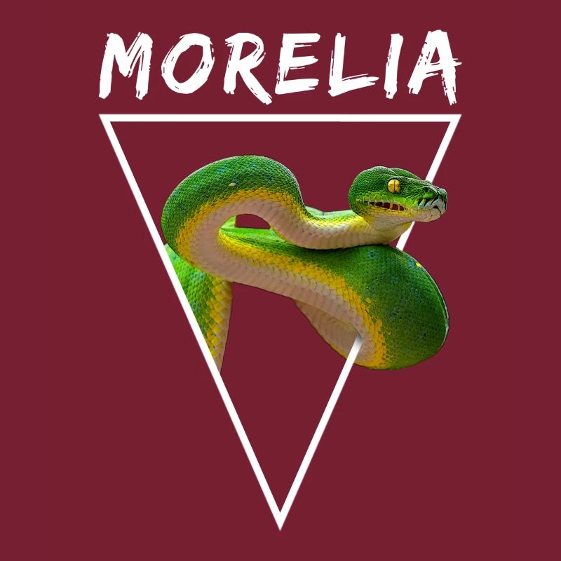 Arbre vert Python Morelia Viridis Propriétaire de serpent