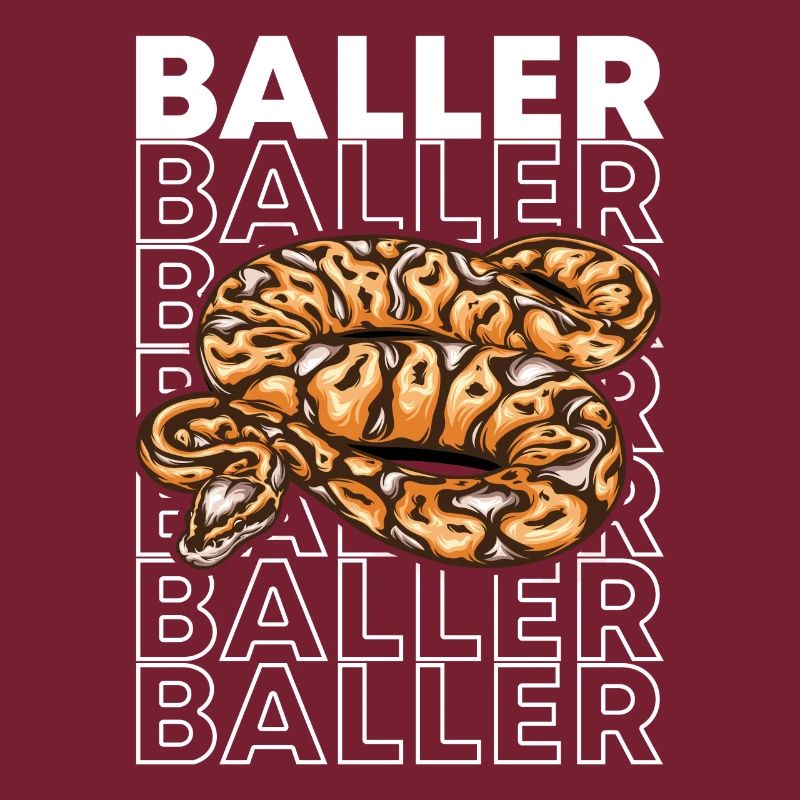 Ball Python 80's Style Baller Royal Python Snake