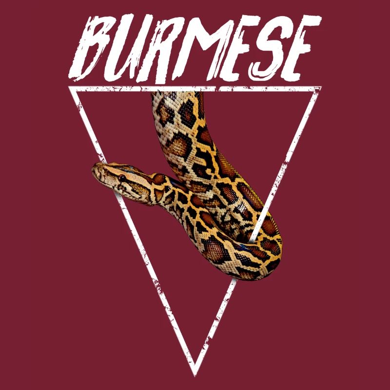 Propriétaire Python Birman Géométrique