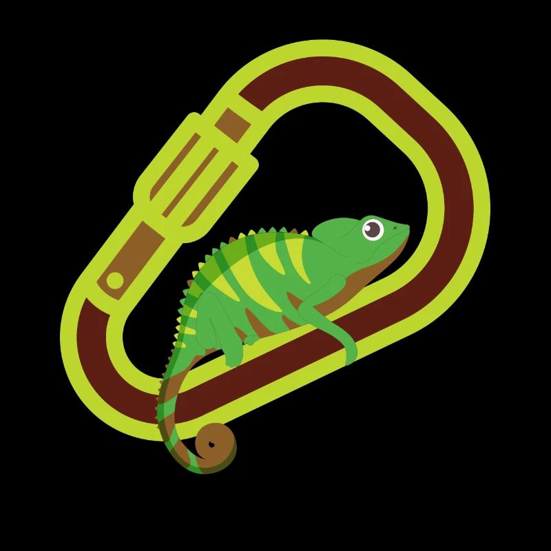 Bouldering, climbing, free climbing Chameleon Boulder
