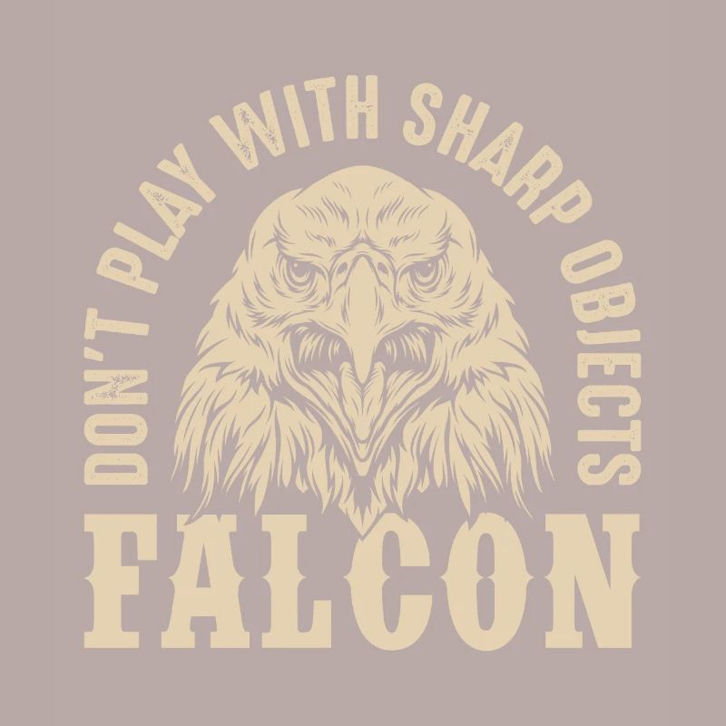 Falcon Sharp objects Falconry Eagle Goshawk Falk